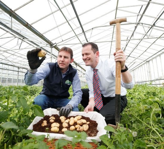 New season spuds survive storms and snow to surface at Aldi