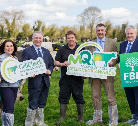 2 new categories added to CellCheck Milking for Quality awards
