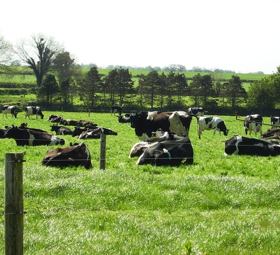 Smart Farming 'must be applied more extensively' across the country