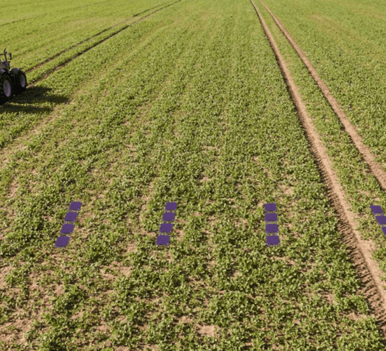 Is this the new easy way to check fertiliser spread patterns?
