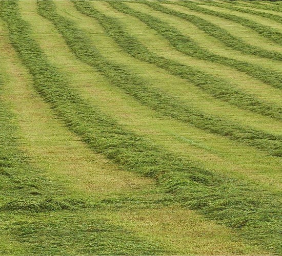 Reducing the risk of silage losses