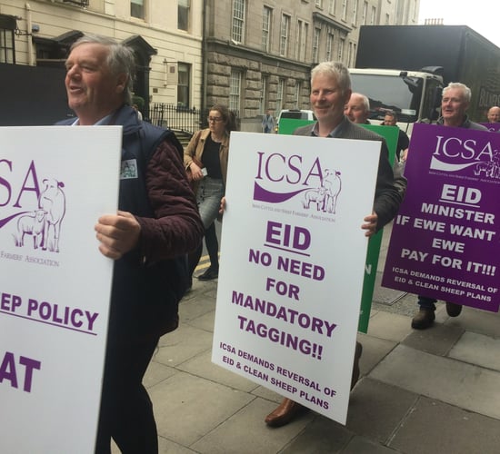 ICSA warns Creed to 'go back to drawing board' on EID tagging
