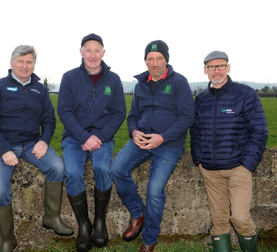 Diary date: What's on the agenda at the IGA sheep conference?