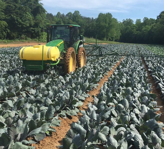 Tillage focus: This Irish man is planting vegetables in the North Carolina hills