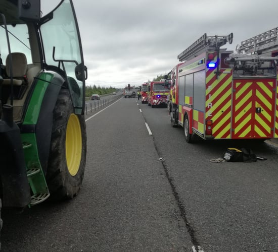 Collision involving calves en route to mart