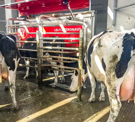 Dairy focus: Striving for one million litres from 120 cows in Co. Donegal