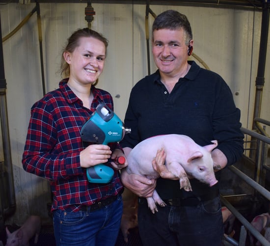High-tech, low-labour vaccination on a farrow-to-finish unit