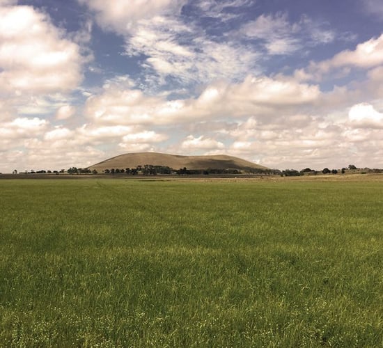 600ha Oz farm sells for a reported $200 million
