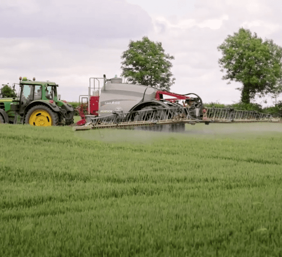 Tillage: Autumn weed control in cereals