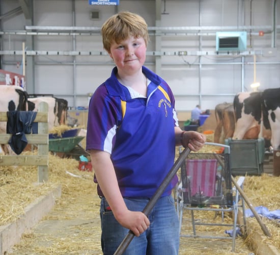 Farm boy's inspirational shave gets Balmoral breeders digging deep