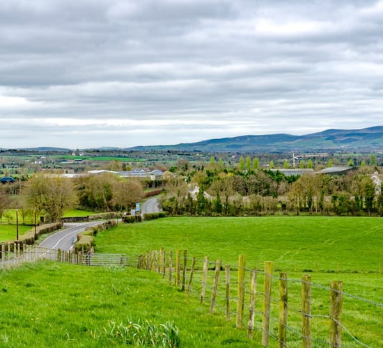 New Irish grass variety - Oak Park...what you need to know