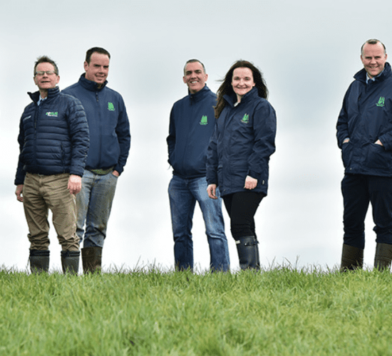 Diary date: What's in store at the IGA beef conference 2018?