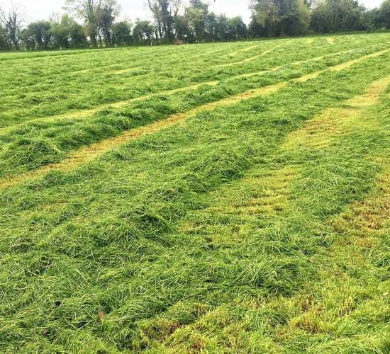 Dairy focus: Silage season kicks into gear in Co. Kildare