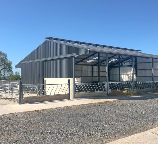 Buildings focus: A slatted unit, pens, crush and dungstead in Co. Tipperary