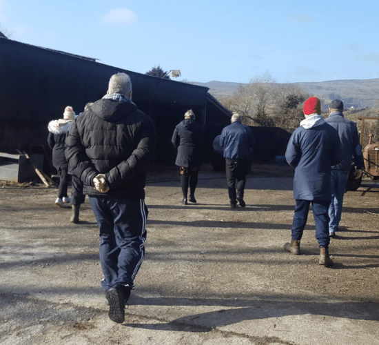 Details of National Social Farming Network programme delivery announced