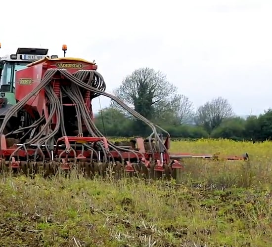 CROPS WATCH: Spring barley needs help early to reach potential