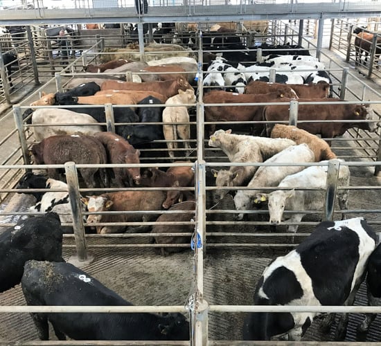 Mart trade: Numbers ease and quality comes under pressure