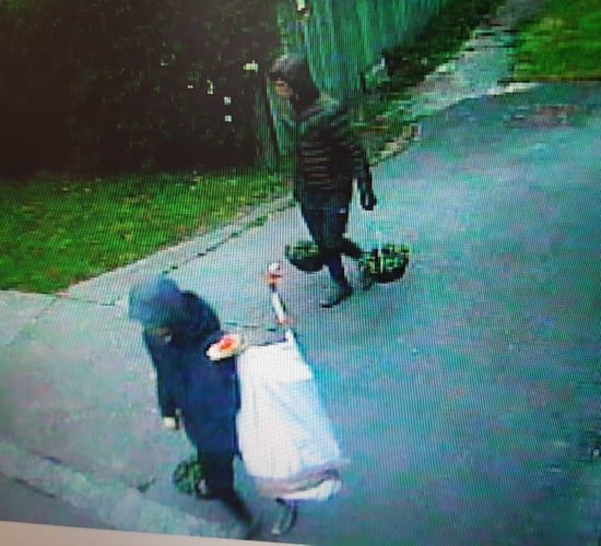 UK farm vandalised and animals abused in criminal break-in
