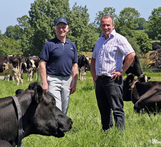 All roads lead to Co. Meath for the IHFA National Open Day