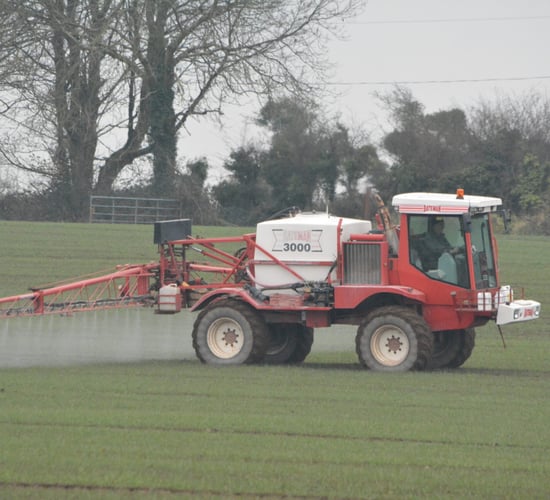 Neonicotinoids to be available for autumn planting