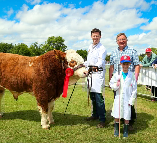 Action-packed weekend in store at Flavours of Fingal