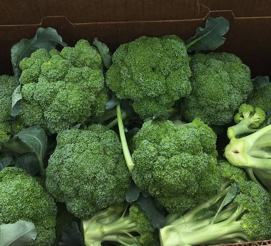 Rain doesn't end problems for veg growers