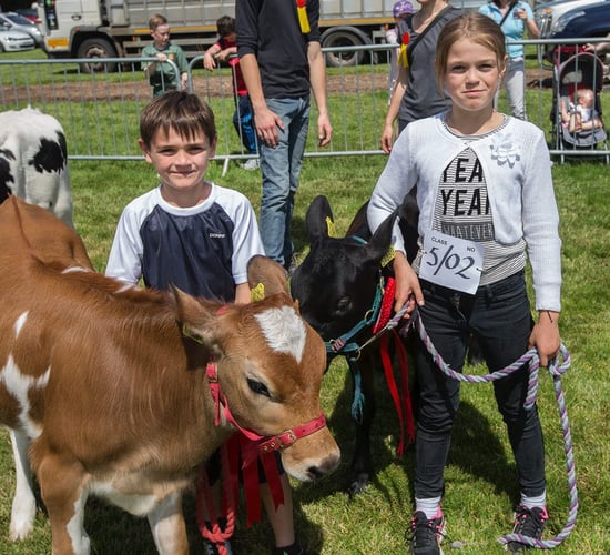 Artisan food producers to be lauded at Clonmel Show