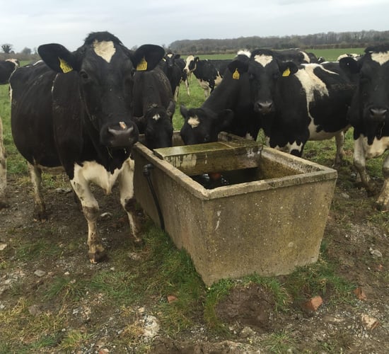 CAP: Call for farmers to be made aware of rules on wells