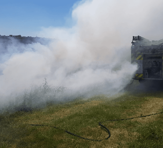 IFA calls for gorse-burning extension to include March