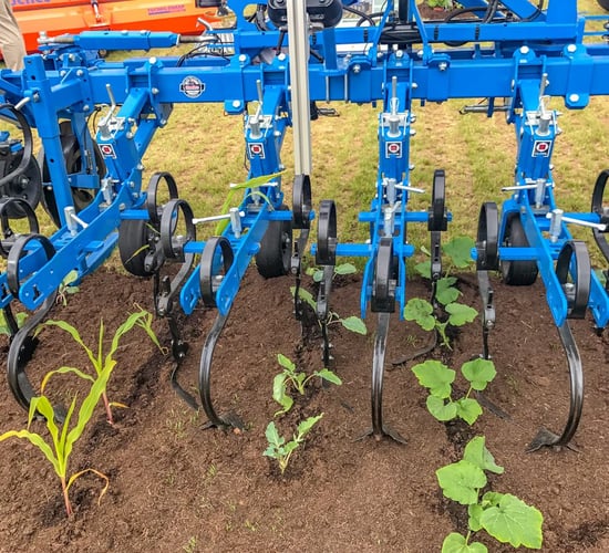 Mechanical weeding: 'We need something else in our toolbox'