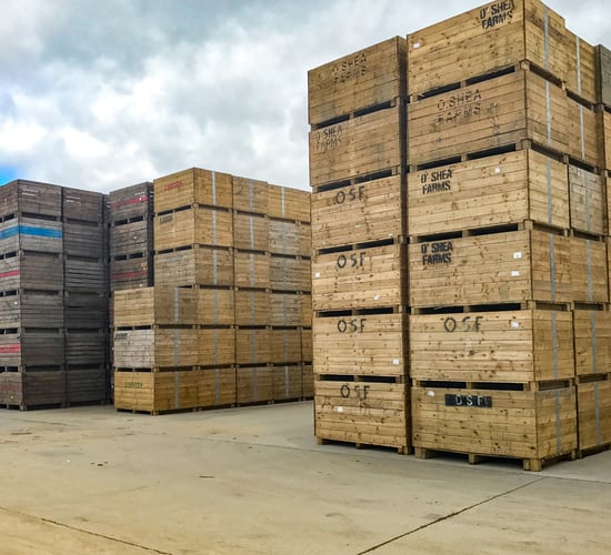 Less than 20% of potato crop left to be harvested