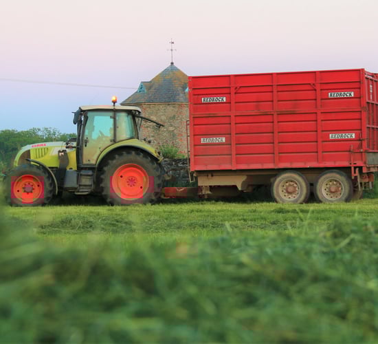 GrassCheck: Growth stalls as NI sees biggest extremes in 10 years