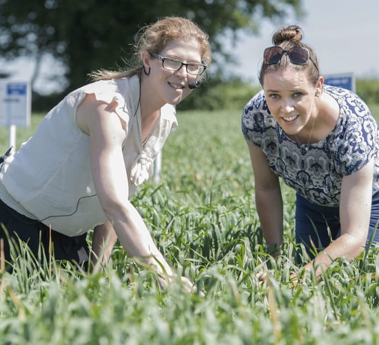 Department open day highlights top standards of Irish crops and seed