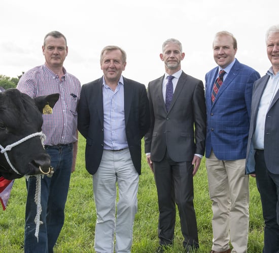 Irish Angus championships launch with 'beefy' €23,500 prize fund