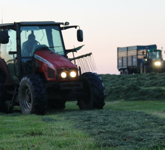 Caught in the rain: Should I mow or should I wait?