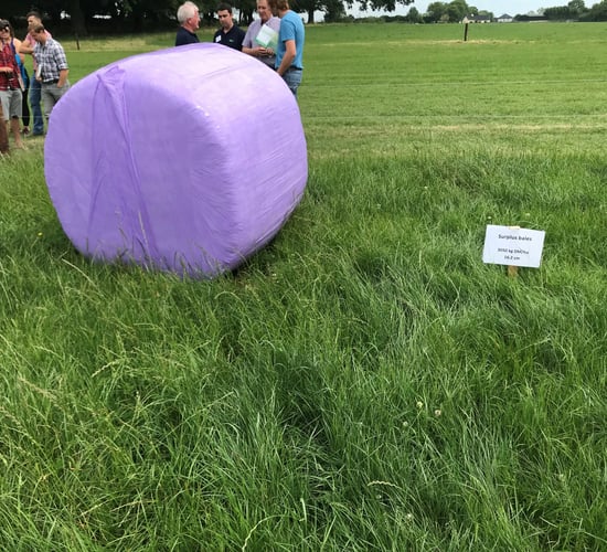 Grazing residuals: What covers should I be going into?