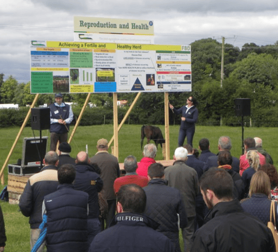Site map: What's on the agenda at Teagasc's BEEF 2018 event?