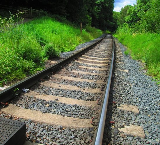 Train hits 'herd of cows' in Offaly