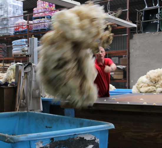 Calls made for establishment of Irish Wool Forum