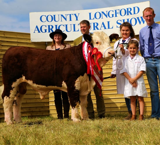 Pics: Strong turnout of Herefords at Longford Show