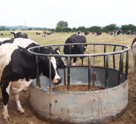 No rain for 35 days: 'Growth rates are worse than winter'