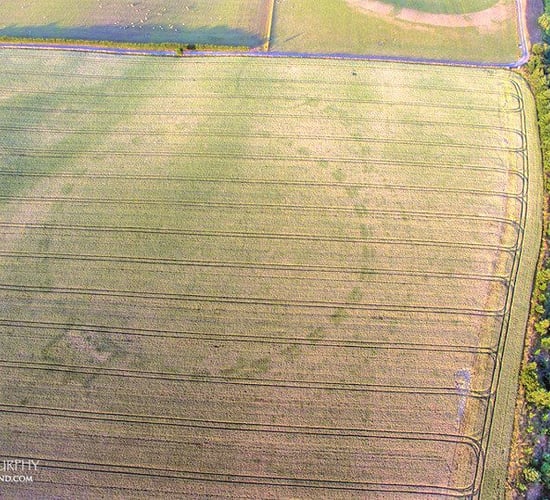 Cropmarks unveil 'prehistoric ritual enclosure' in Co. Meath