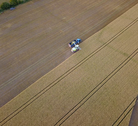 Act fast to preserve wholecrop silage