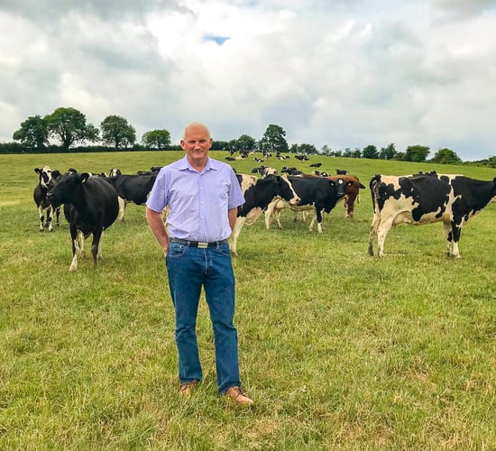 King of the hill: 'Dairy is the only sustainable sector'