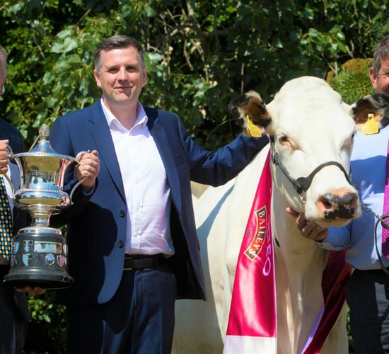 Entries open for 35th Diageo Baileys Champion Dairy Cow Competition