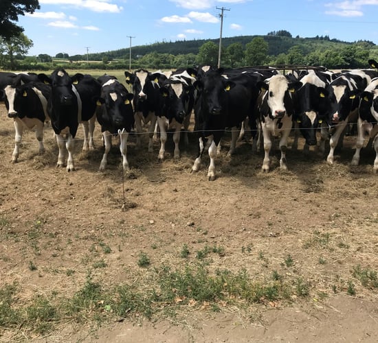 Drought strife: 'Farmers' first responsibility is a duty of care to themselves'