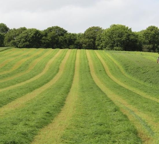 Fodder incentive measure facing underspend
