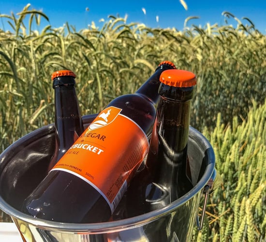 Rye is the talked about crop of the season