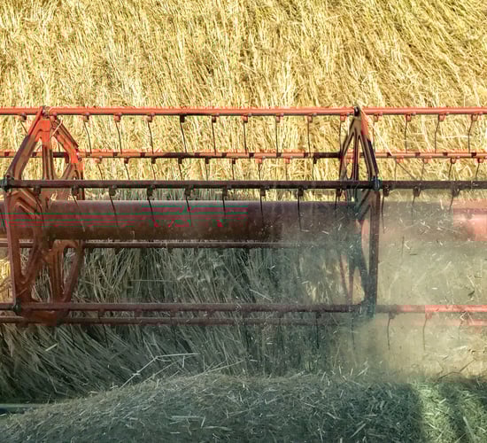 Facts and figures: The Irish tillage sector 2018