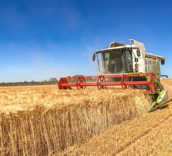2018 harvest: Lowest average spring barley yield since 2002